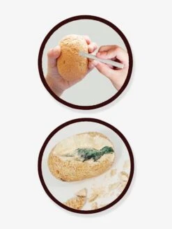 Maxi Pack 12 Oeufs Dinosaures - BUKI Orange - Buki -Magasin De Produits Tendance Pour Bébés maxi pack 12 oeufs dinosaures buki 2