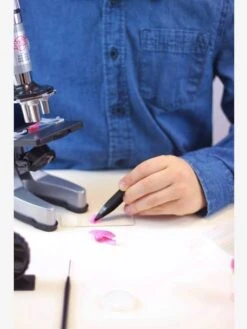 Microscope - 30 Expériences BUKI Rouge - Buki 11 Microscope - 30 Expériences BUKI Rouge - Buki -Magasin De Produits Tendance Pour Bébés microscope 30 experiences buki 4